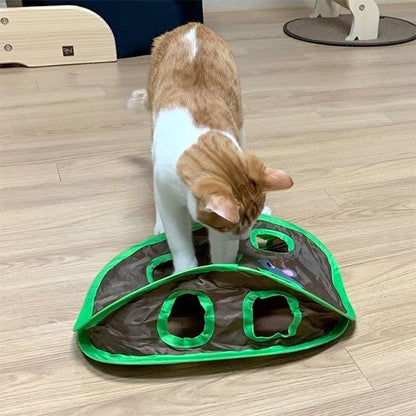 jeu chat interactif