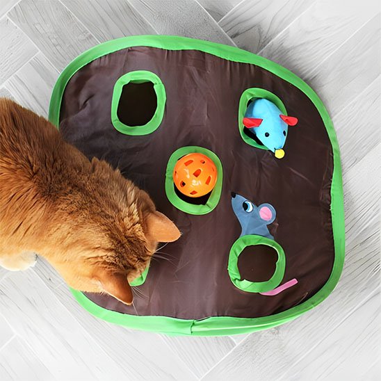 jeu chat interactif