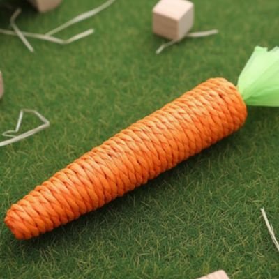 jeu pour chat_d7eb237d ae30 41e8 a322 cf620fc95492