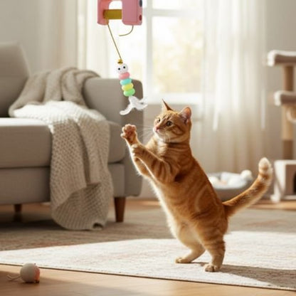  jeux pour chat roux debout content