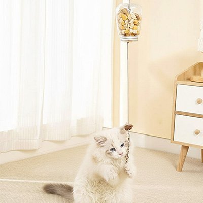 chaton jouant avec un jouet interactif suspendu distributeur de friandises