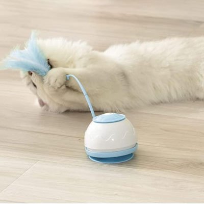 jouet chat interactif plume flexible chat joue au sol