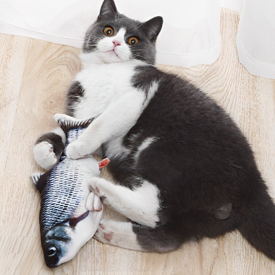 Jouet chat interactif poisson réaliste gris chat qui joue