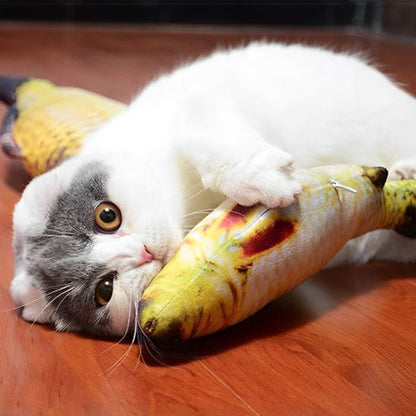 Chat jouant avec jouet poisson interactif anti ennui
