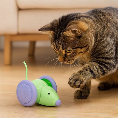 chat jouant avec une souris automatique jouet chat interactif