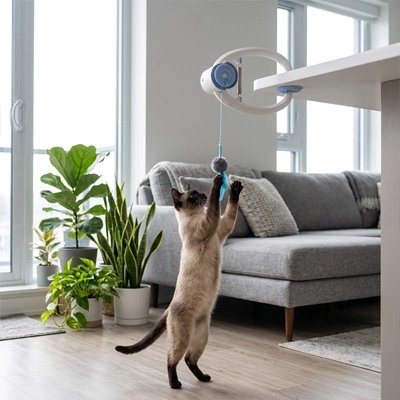 Jouet chat interactif suspendu stimulant l'instinct de chasse du chat