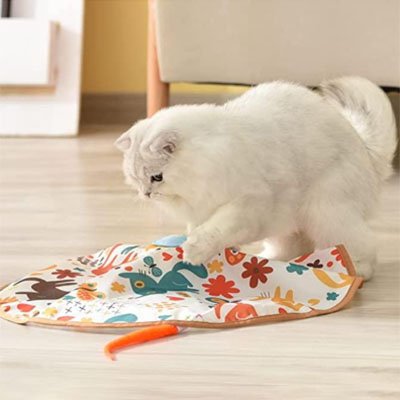 jouet chat interactif avec tapis de jeu chat en train de chasser