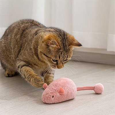 jouet chat interactif_d235ea05 58ef 4a39 bd8d bfb490963e45