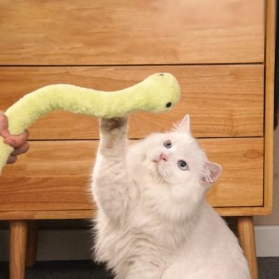 jouet chat_5654ac83 3fd3 4137 9106 eadaab2c36d3