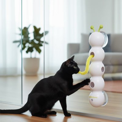Chat jouant avec un jouet interactif mural FélinStimul fixé sur une surface lisse
