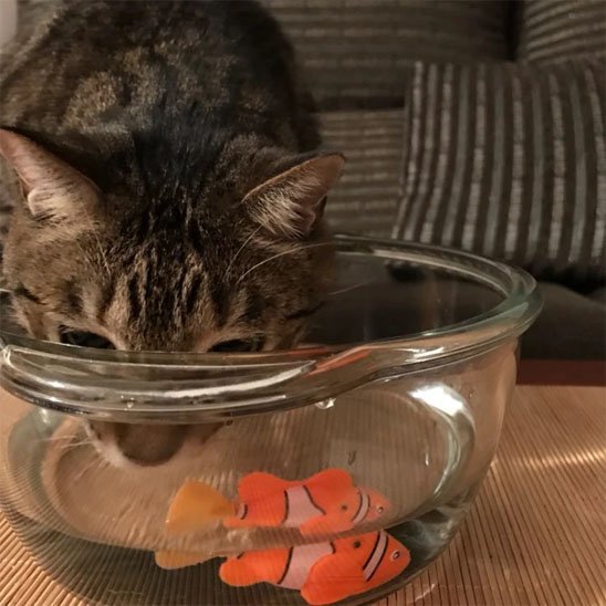 jouet pour chat 4_155bb62d 43b7 476d 8ad9 ba287c6f0976