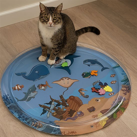 jouet pour chat interactif 5_8a299553 d235 45fc 99f4 bf8a5f7ccec1