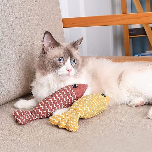 Jouet pour chat | Interactif - Chatmuser