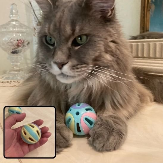 jouet pour chat_702f4752 1234 48c6 8535 b67aa9116a90