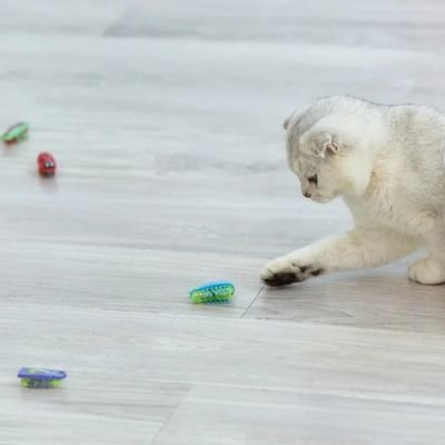 jouet pour chat_98100669 97e9 4a4d ae47 cda5b2793970