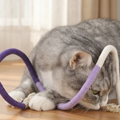 jouet pour chat_cdd59620 8cf2 45ef b3e1 60537af377af