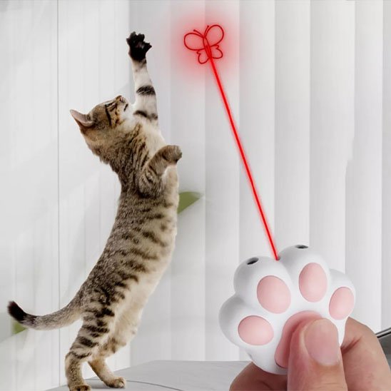 Chat jouant avec un laser pour chat en forme de patte