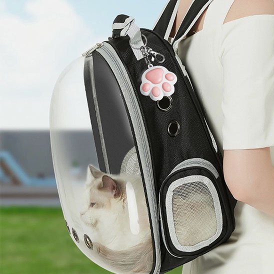 Laser pour chat en forme de patte accroché à un sac de transport