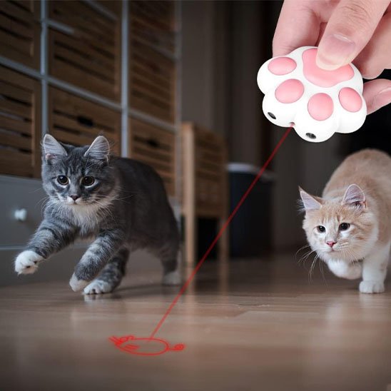 Deux chats jouant avec un laser pour chat en forme de patte