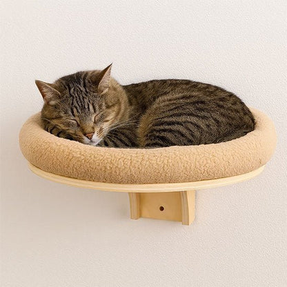 Plateforme murale ronde pour chat en bois avec coussin moelleux, où un chat tigré dort paisiblement contre un mur
