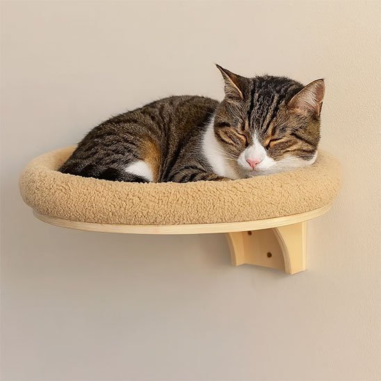 Plateforme murale ronde pour chat avec coussin moelleux, où un chat tigré et blanc dort paisiblement contre un mur
