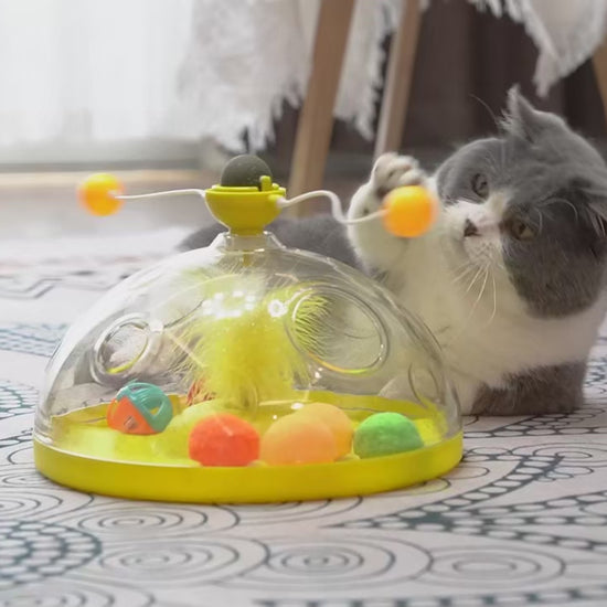 Chat jouant avec un jouet interactif à balles et ressort central