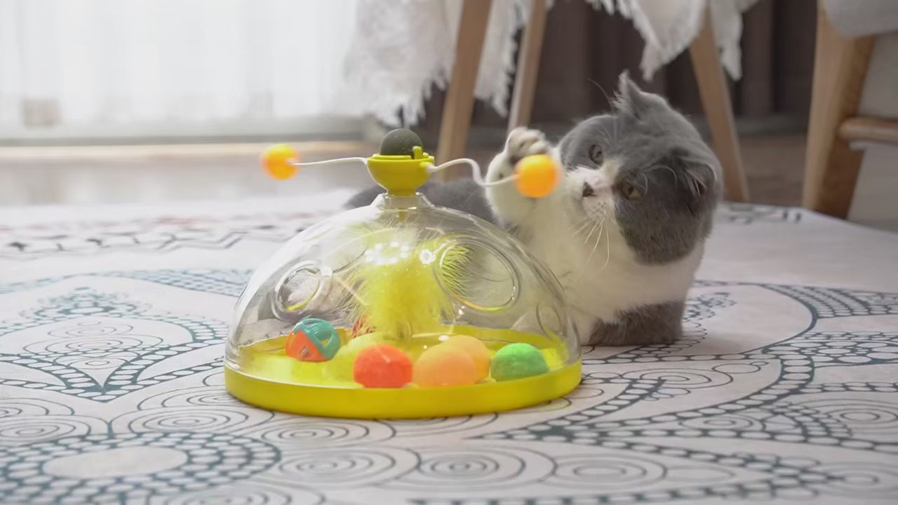 Chat jouant avec un jouet interactif à balles et ressort central