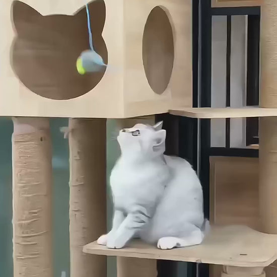 Démonstration du jouet chat interactif suspendu avec souris pour stimuler l'instinct de chasse