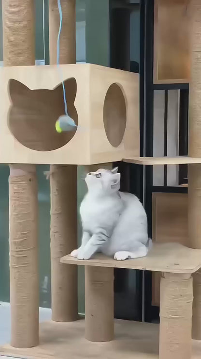 Démonstration du jouet chat interactif suspendu avec souris pour stimuler l'instinct de chasse