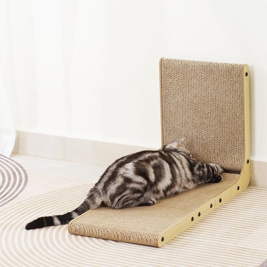 product image 1_f3390de4 bd0c 4a2e b620 1f95eb6431e5