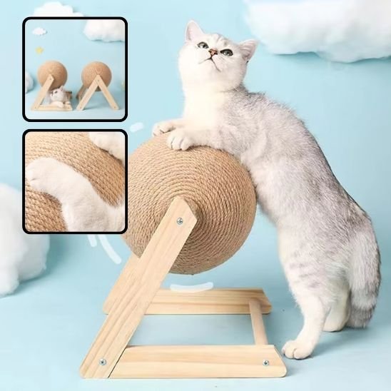 product image 2_b3d0611f b24f 473a 9c32 5d899a103bbb