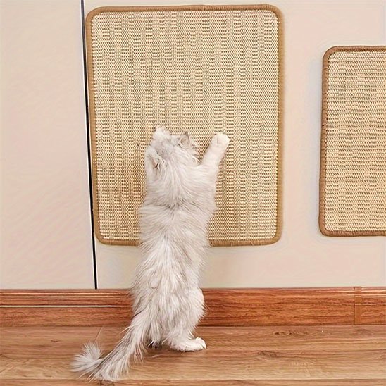 product image 3_126c2e30 6c57 453b a502 3948ea20817a