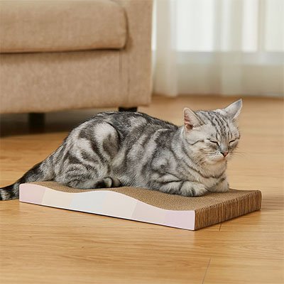 product image 3_394c3bbf f8b1 4d0d b97c 3ecf0b39fd91