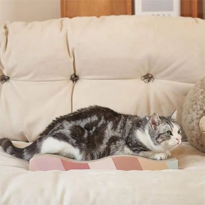 product image 5_1ac206e4 17c8 4ce6 be9d 9b56107eaa0c