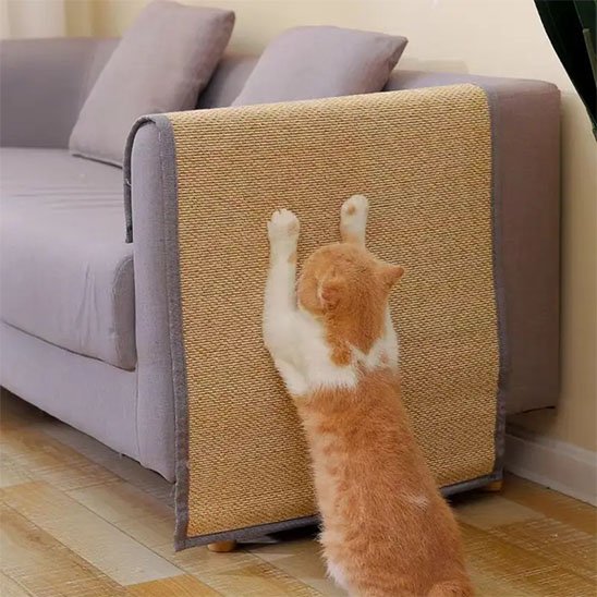 chat faisant ses griffes sur protection accoudoir canapé