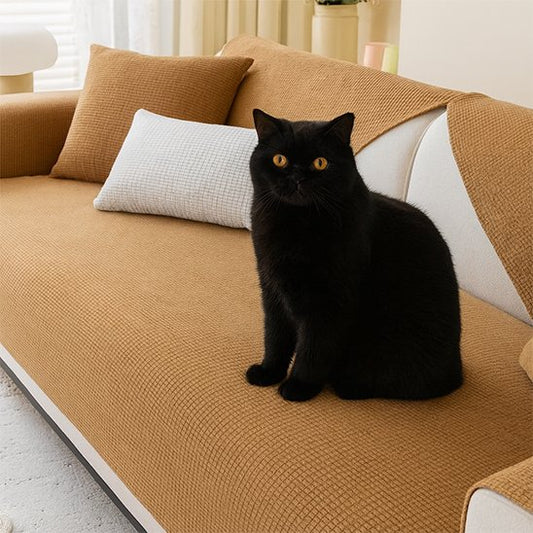 chat noir assis sur protection canapé chat antidérapante kaki