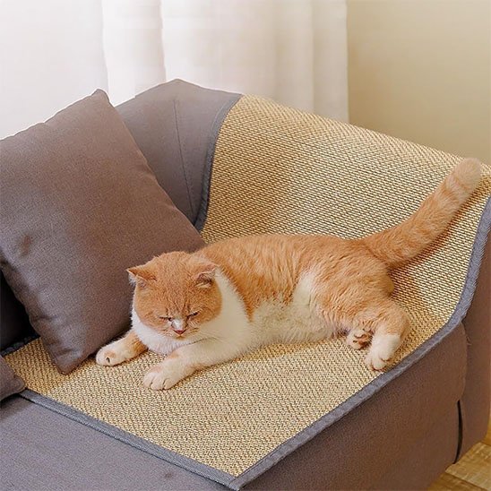 chat couché sur protection canapé chat en bambou posée sur canapé