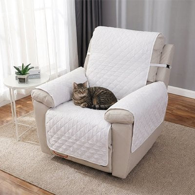 chat couché sur protection canapé chat blanche pour fauteuil
