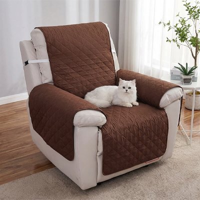 chat reposant sur protection canapé chat couleur café pour fauteuil