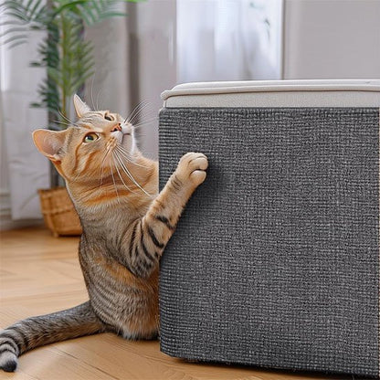 protection canape chat prise droite