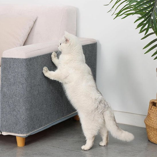 protection canape chat_2cbb2935 8c2b 433c 9da5 449f5b69ebf5