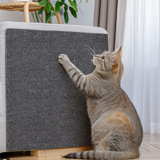 protection canape chat_8b830f20 2f8a 4288 87b8 781287919f72