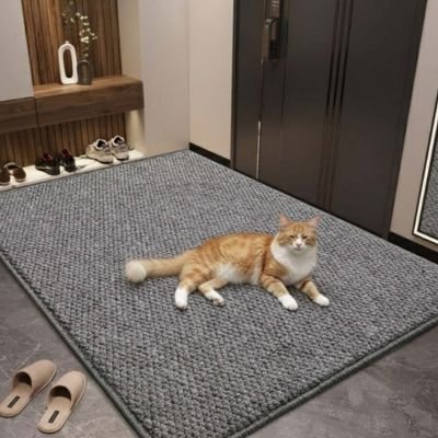 Chat roux allongé sur un tapis griffoir épais placé dans une entrée moderne pour protéger le sol des griffades
