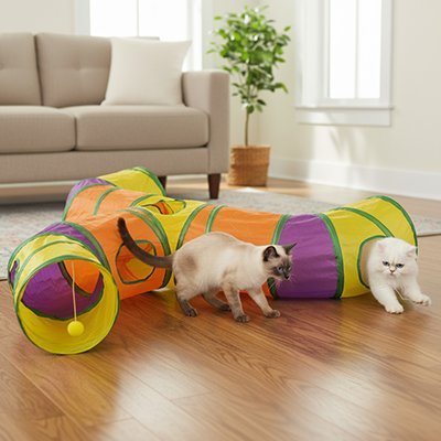 Tunnel arc en ciel pour chat présenté seul

